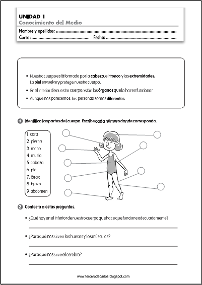 http://www.primerodecarlos.com/TERCERO_PRIMARIA/septiembre/unidad1/fichas/cono/ficha4.pdf