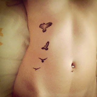 TATTOOS EN ABDOMEN DE AVES