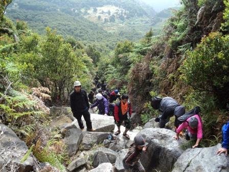 Jalur%2Bpendakian%2Bgunung%2BPapandayan%2Bmenuju%2BTegal%2BAlun