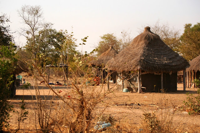 limpopo-nationalpark-in-mosambik