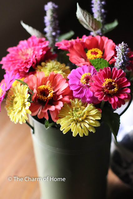 Sorbet Colored Zinnia Bouquet