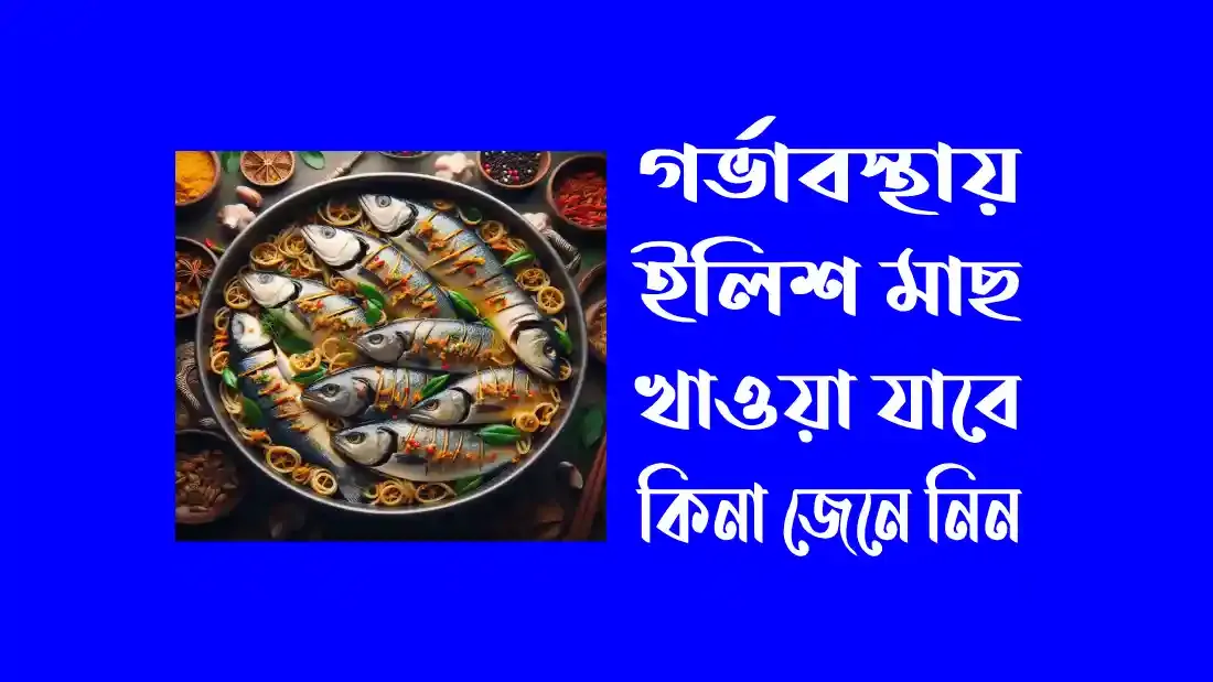 গর্ভাবস্থায় ইলিশ মাছ খাওয়া যাবে কিনা