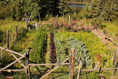 bushcraft garden, survival garden