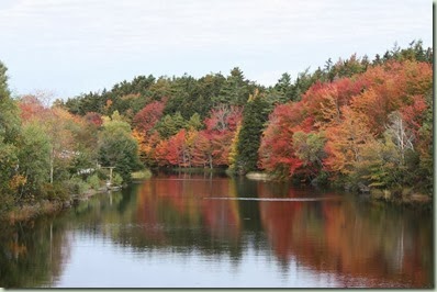 IMG_1260_1024x683