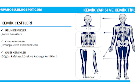 Spor Anatomisine Giriş 6