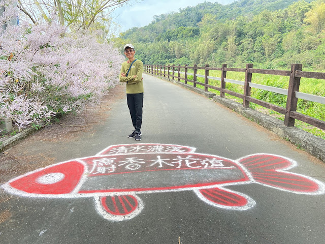 清水溝溪麝香木花道