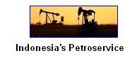 Prime Petroservice IPO