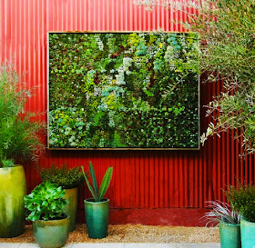 Vertical Succulent Panel Garden 