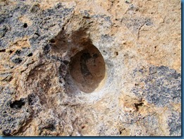 IMG_0719 (Medium)