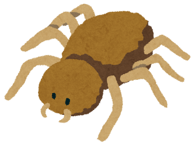 蜘蛛のイラスト かわいいフリー素材集 いらすとや 蜘蛛のイラスト かわいいフリー素材集 いらすとや