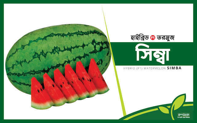 সিম্বা