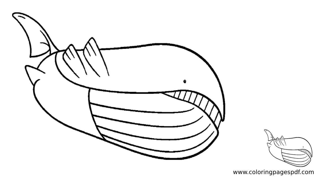 Coloring Page Of Wailord