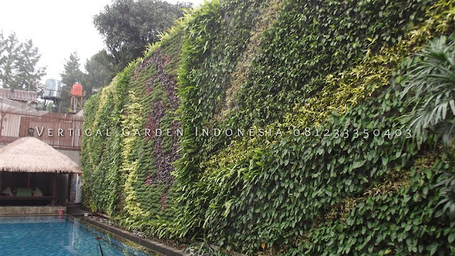 (VERTICAL GARDEN INDONESIA) SPESIALIS JASA PEMBUATAN VERTICAL GARDEN DI JAKARTA BARAT, JAKARTA UTARA, JAKARTA TIMUR, JAKARTA SELATAN, JAKARTA PUSAT DAN DI SELURUH WILAYAH JABODETABEK DENGAN TENAGA YANG PROFESIONAL DAN DAPAT DI PERCAYA YANG SELALU MENGUTAMAKAN SEBUAH MUTU DAN KUALITAS PEMASANGAN VERTICAL GARDEN/TAMAN DINDING, JASA TUKANG TAMAN VERTICAL JAKARTA, JASA VERTICAL GARDEN JAKARTA,