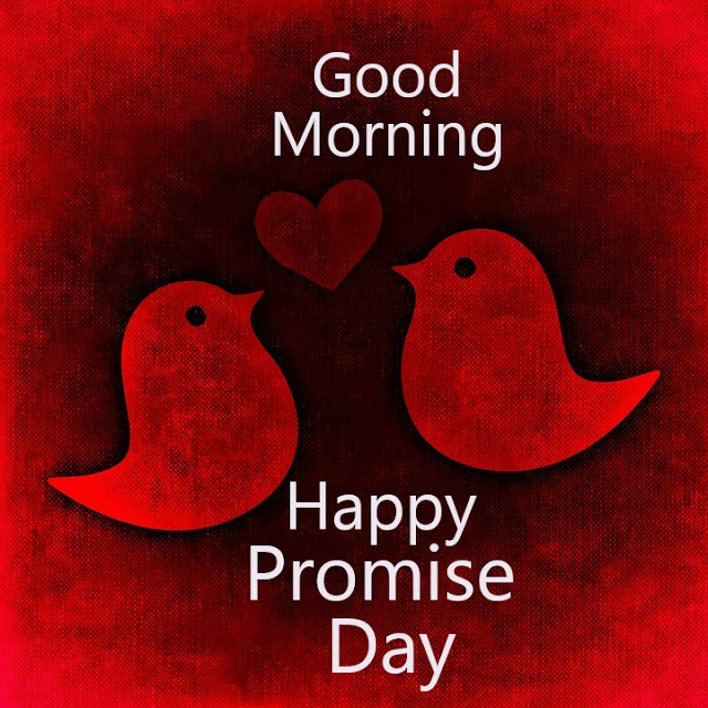 Happy Promise  Day