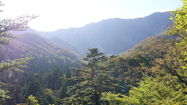 鳥取県西伯郡大山町大山 お里の松