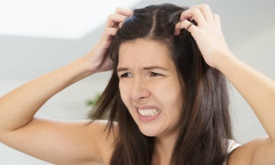 Mengatasi Rambut Rontok Dengan Kacang Hijau