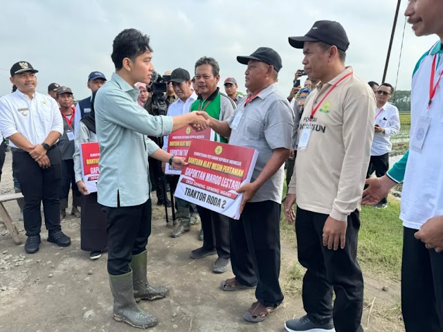 Wapres Tanam Padi dan Serahkan Bantuan ke Petani di Ngawi