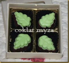 Coklat Myza 19.3.2011 004