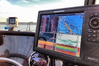 Guide to Finding the Best Fish Finder