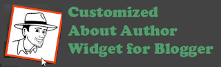 Customized About Author Widget for Blogger 