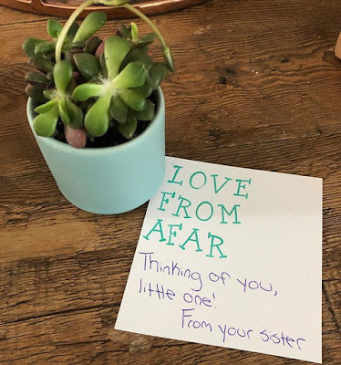 Social isolation coronavirus ideas greeting card succulent plant