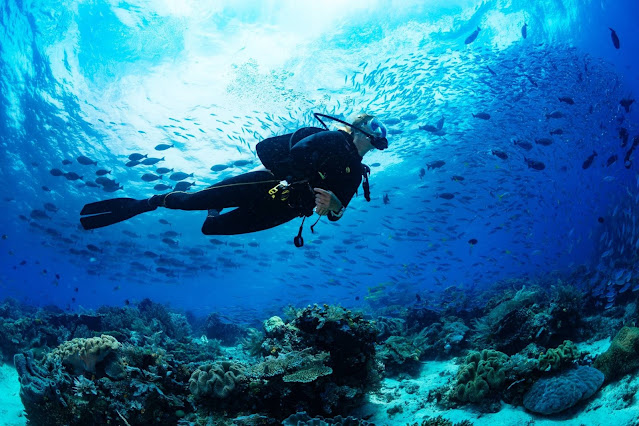 Kor samui diving