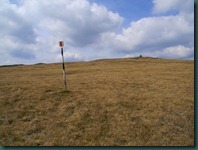 DSCN6172