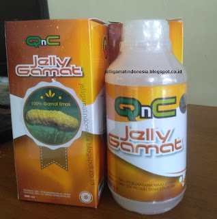 Obat Kista Ovarium Jelly Gamat