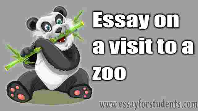 zoo image