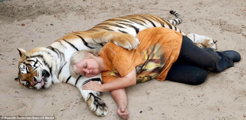 Janice Haley, Janice Haley And Her Tigers, Samber, Janda