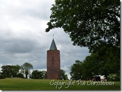 Gåsetårnet 