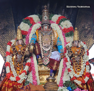 Aani,Aadhi Sesha, Vahanam,Sri Theliya Singar, Yoga Narasimhar,Brahmotsavam ,Purappadu,Video, Divya Prabhandam,Sri Parthasarathy Perumal, Triplicane,Thiruvallikeni,Utsavam,