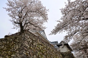 DSC 0875