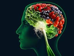 Healthy brain food to eat for a healthy life