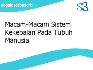 Macam-Macam Sistem Kekebalan Pada Tubuh Manusia