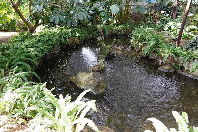 島根県松江市大垣町　松江フォーゲルパーク　熱帯鳥温室