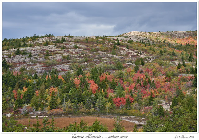 Cadillac Mountain: ... autumn colors...