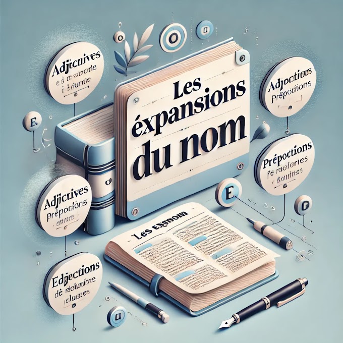 Les Expansions du Nom : Comprendre et Maîtriser les Différentes Formes en Français