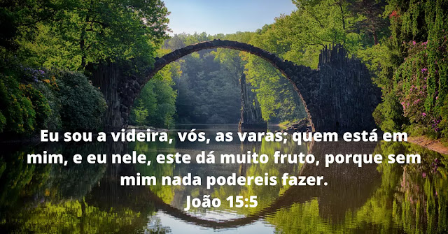 7 Versículos da Bíblia sobre Vinho