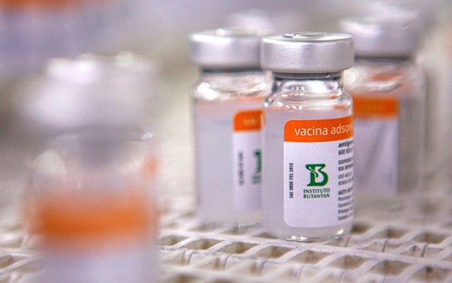 Município do Agreste de Pernambuco perde 2.800 doses de vacina contra Covid-19 por problema no armazenamento