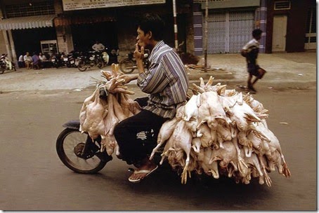 Motor Motor Serba Bisa 11