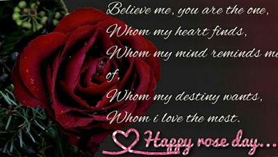 HD Greetings of Rose Day