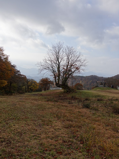 奥大山スキー場