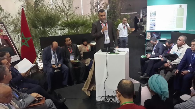 النجاعة الطاقية بمدينة برشيد ضمن فعاليات cop 22 بمدينة مراكش