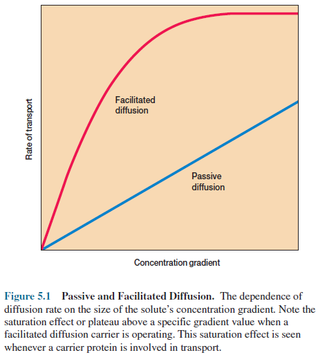 Passive and Facilitated Diffusion