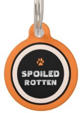 Orange Custom Dog ID Tag