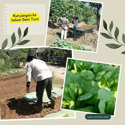 Petani muda dan mahasiswa magang sedang praktek di kebun Seni Tani