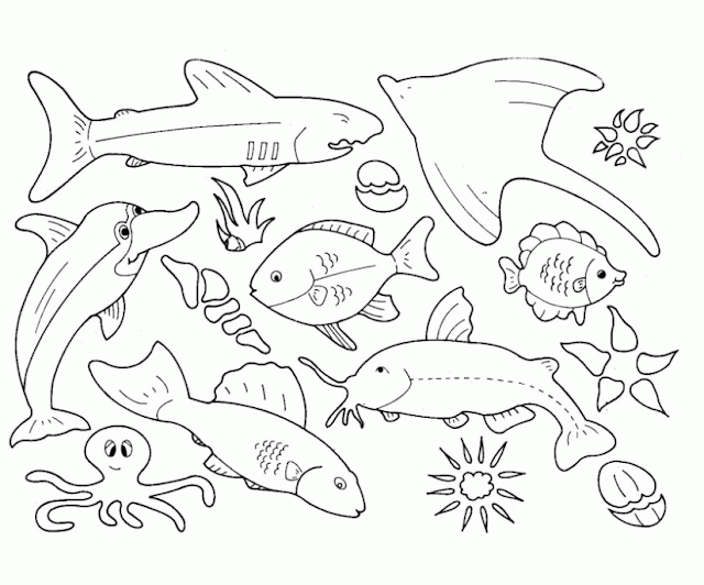 Kumpulan Gambar Mewarnai Binatang Laut Yang Mudah Terbaru