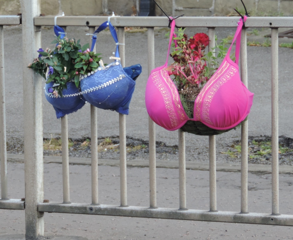 Knitting Now and Then: Bra Recycling