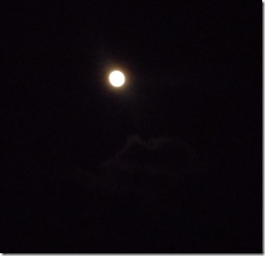 DSCN3017